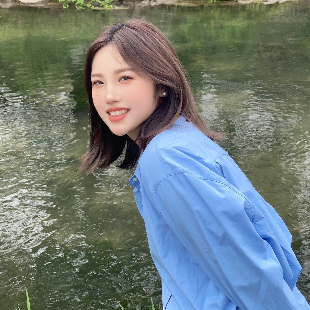凡希杨杨