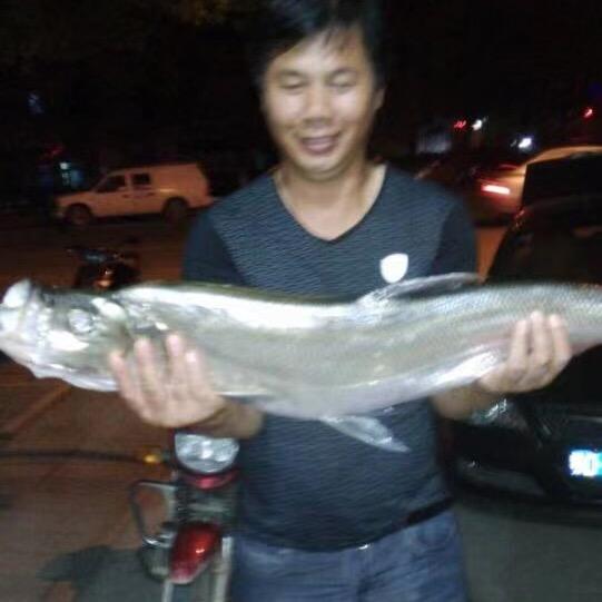 渔歌🎣爱钓鱼