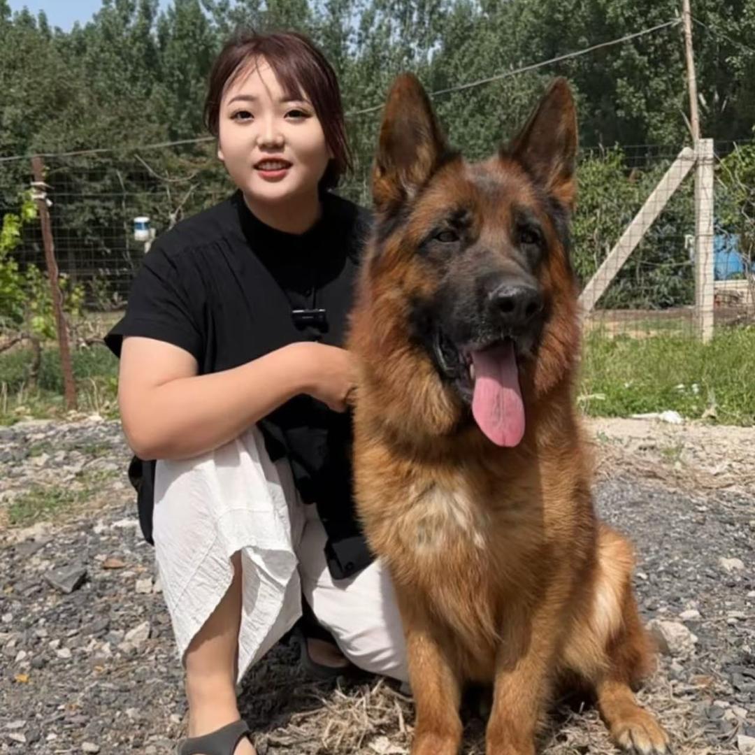 淘好犬的小翟