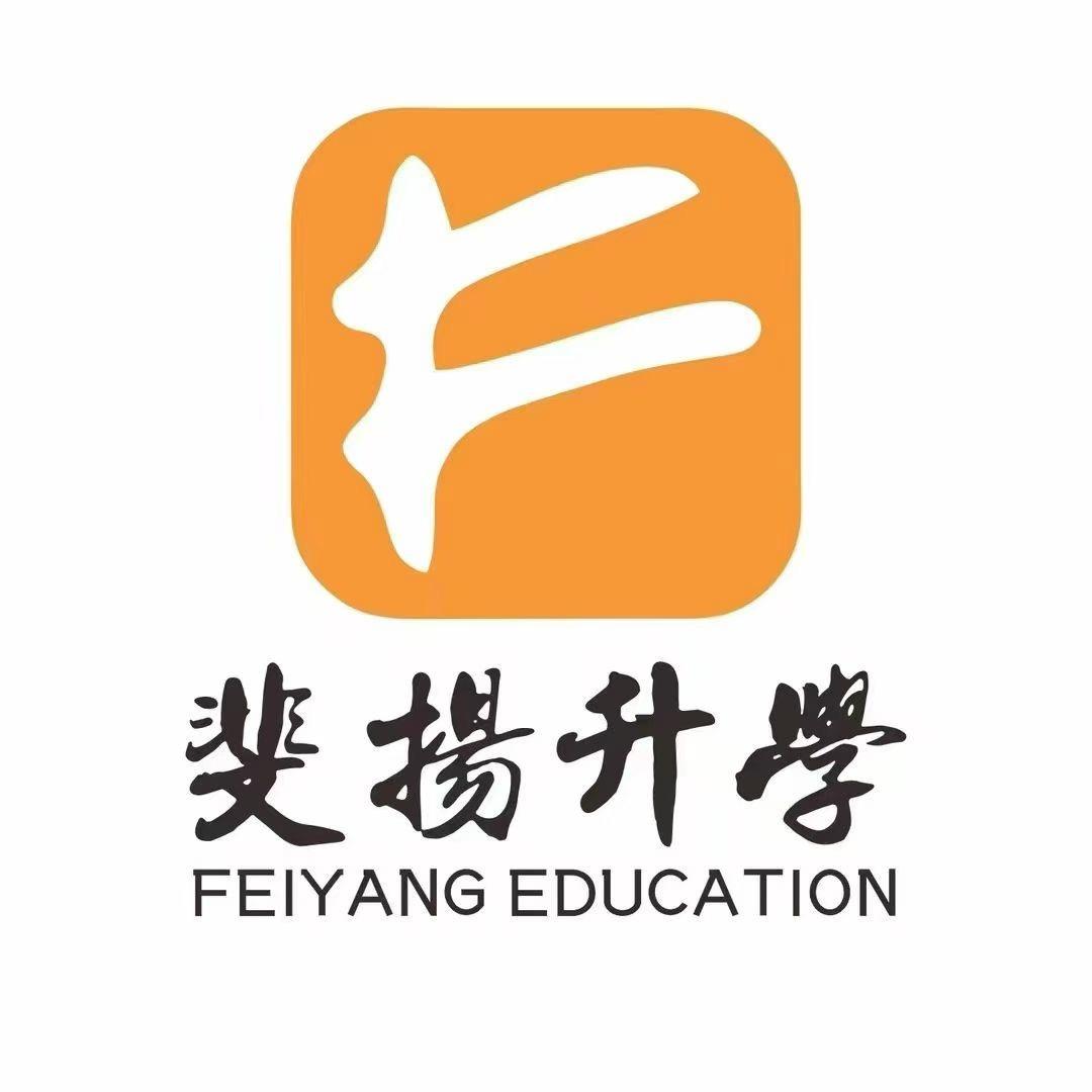 山东斐扬升学规划