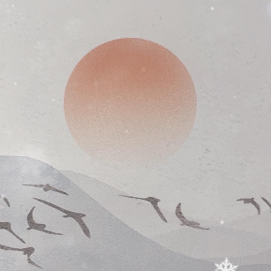 连年鸿厂家优选