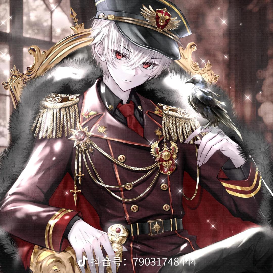 大鲨臂（鑫鑫哥哥）