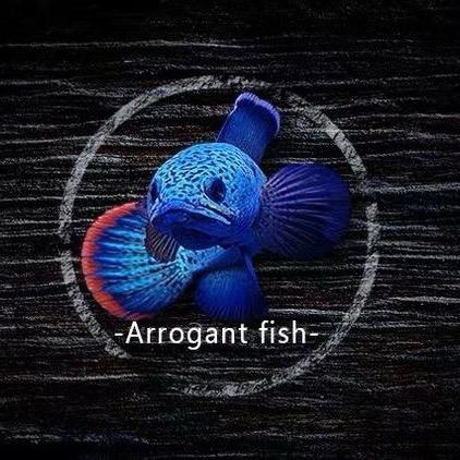 西咸新区空港新城凡额书商贸行