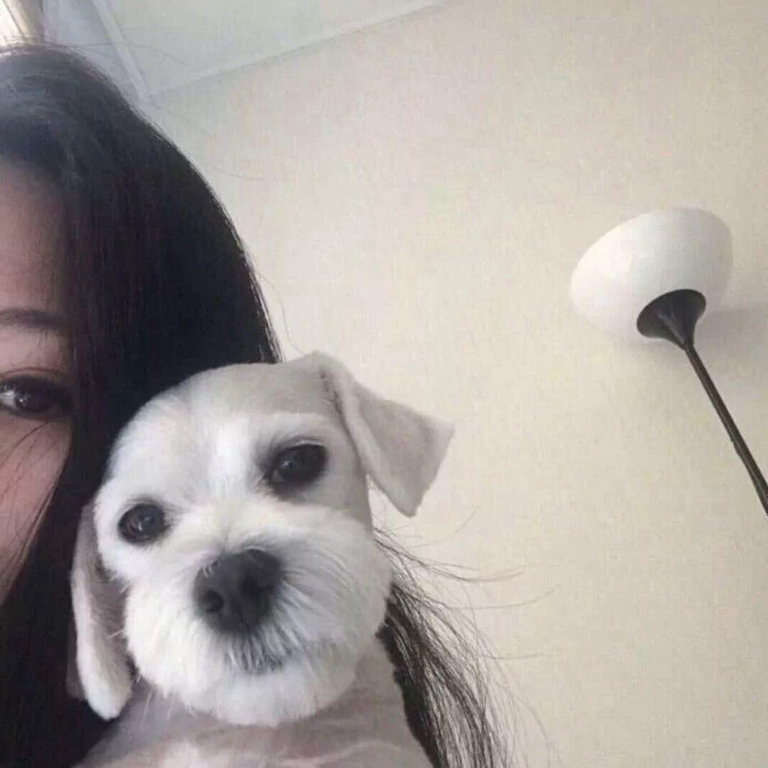 CUIZUYU