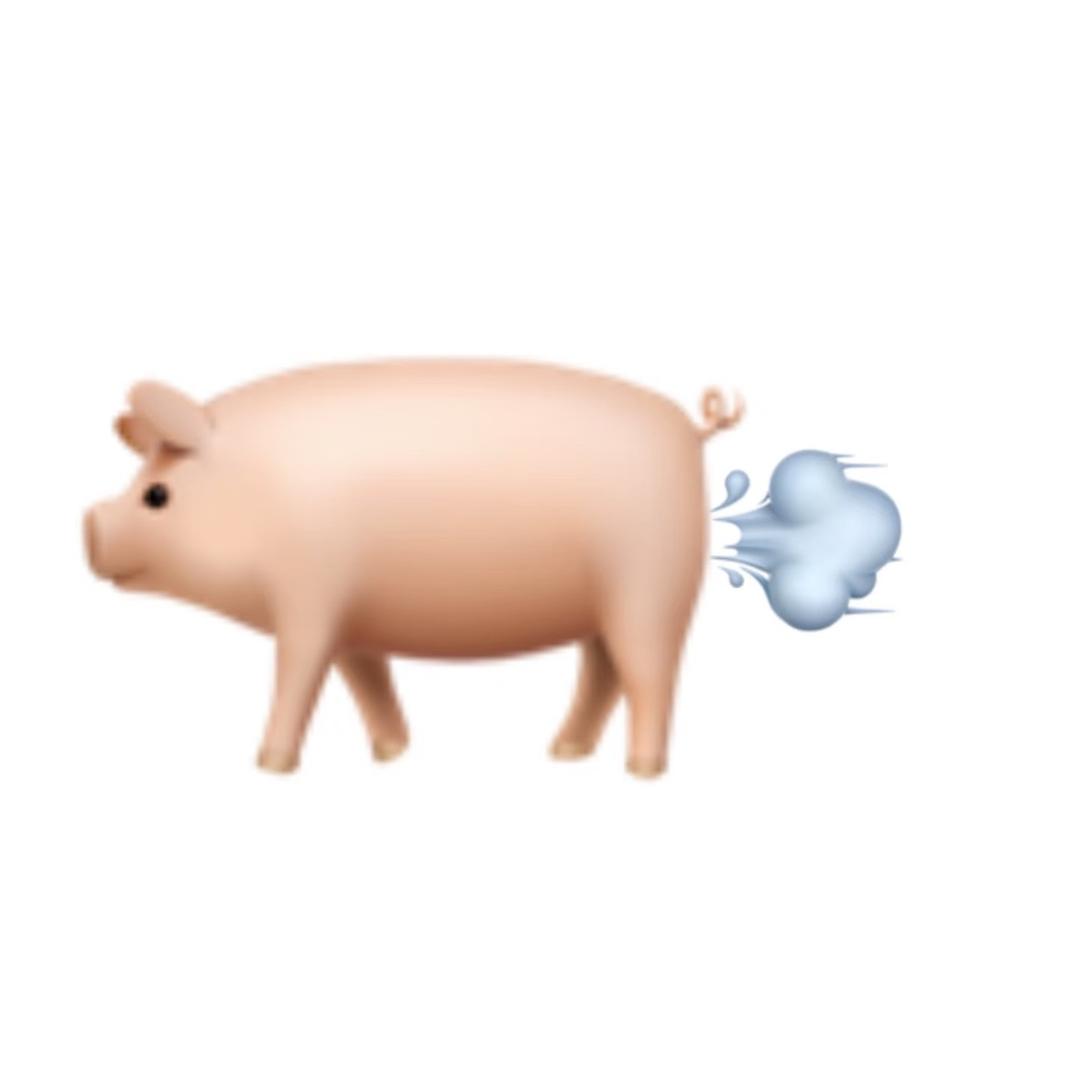 FIFI🐷