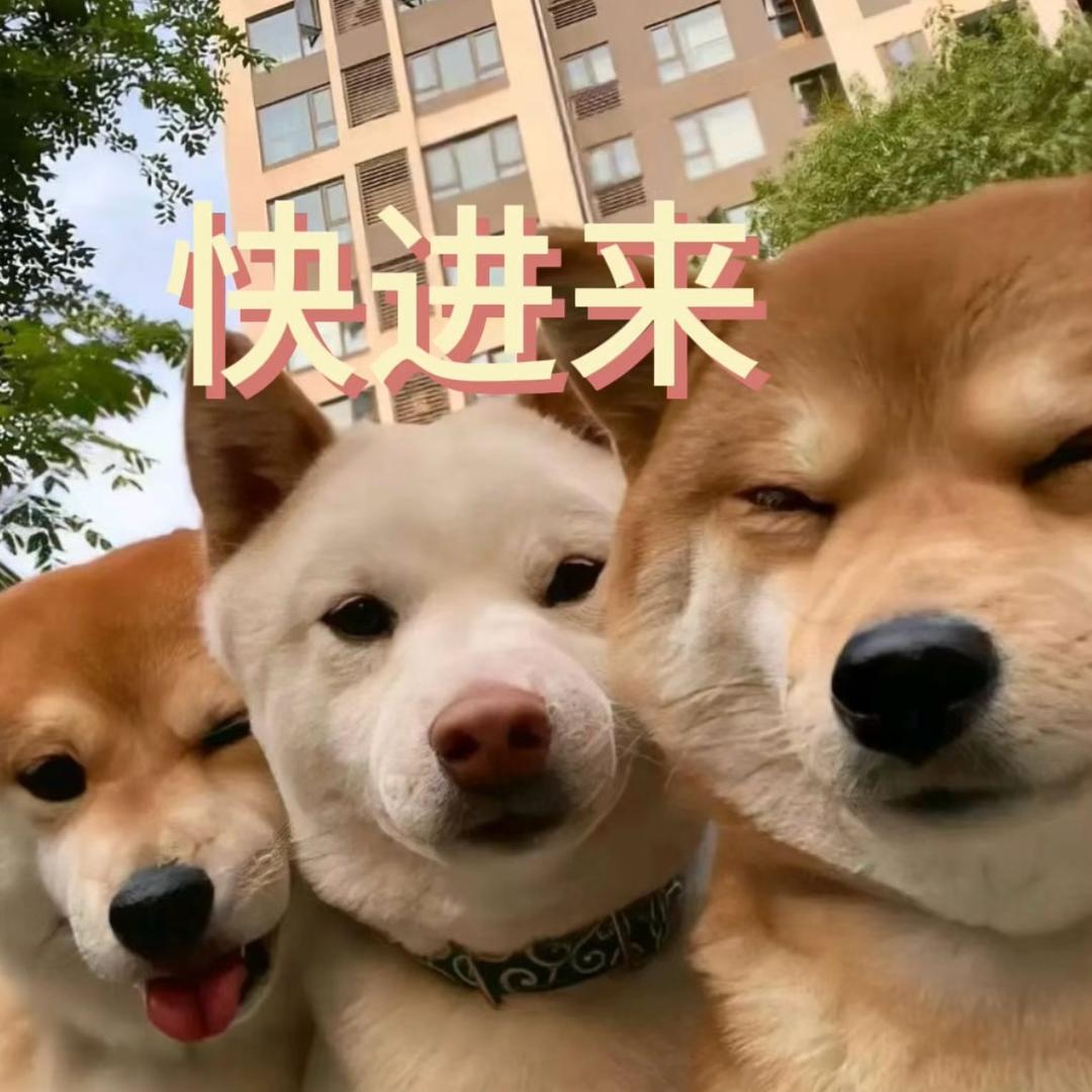 天天有优惠