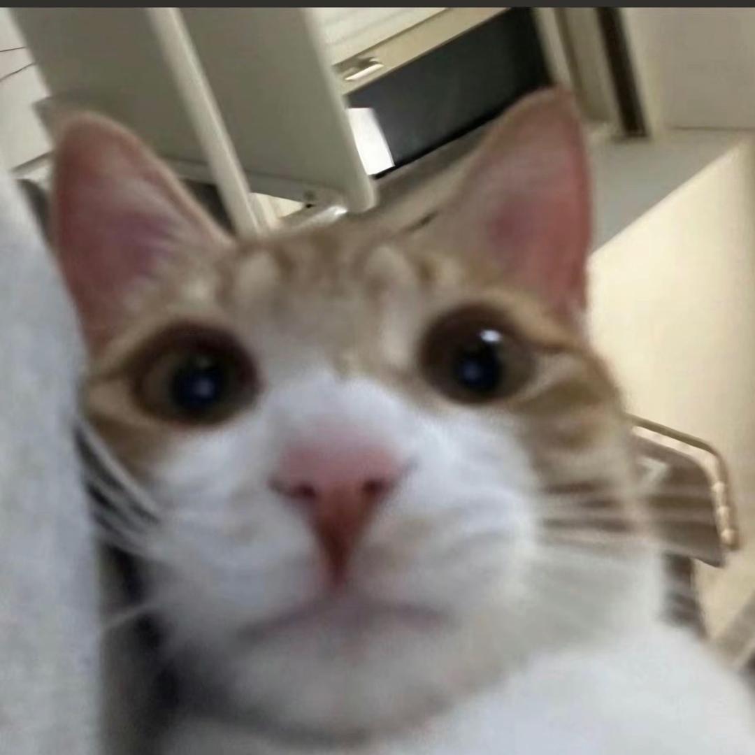 Lil.