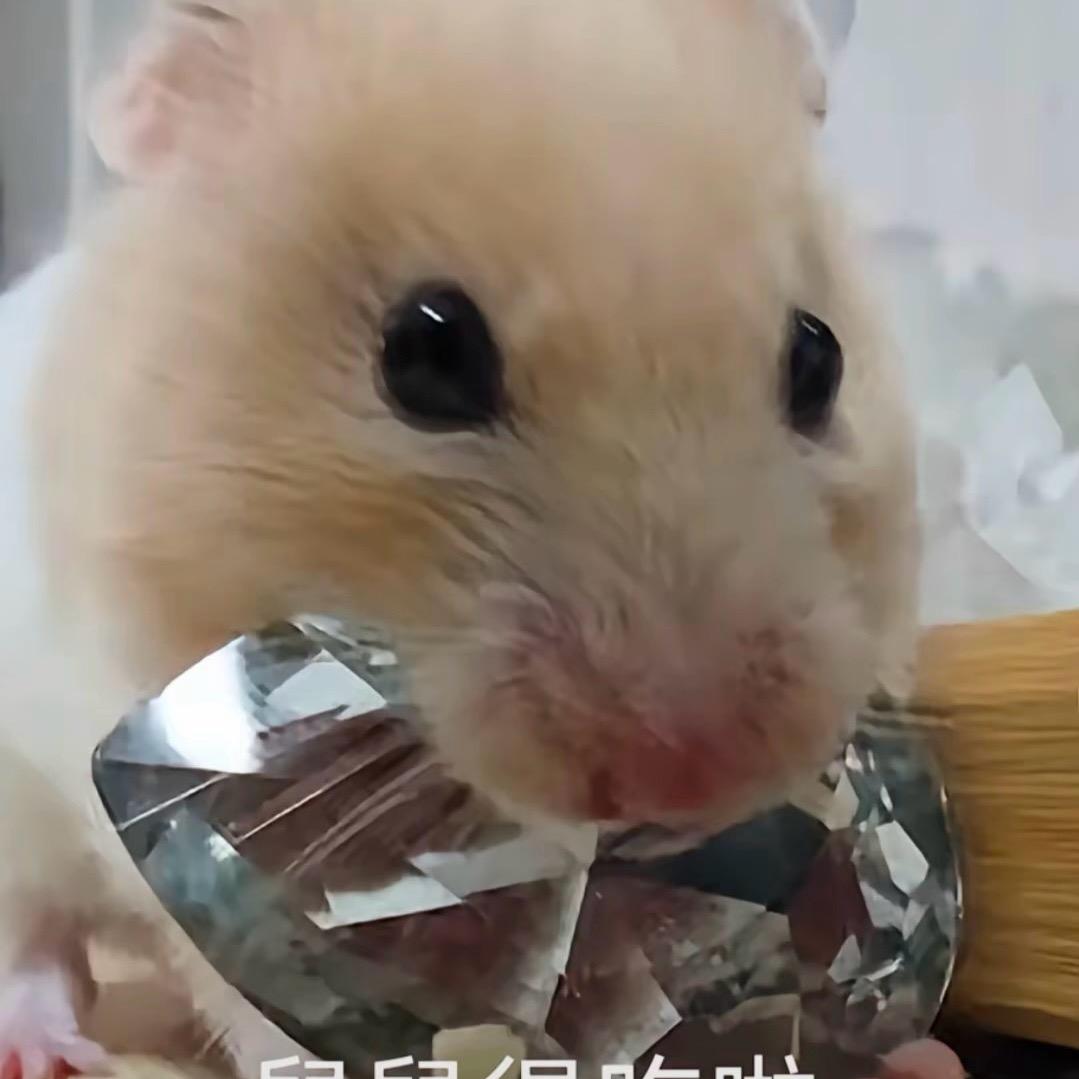 小手（三角洲行动）