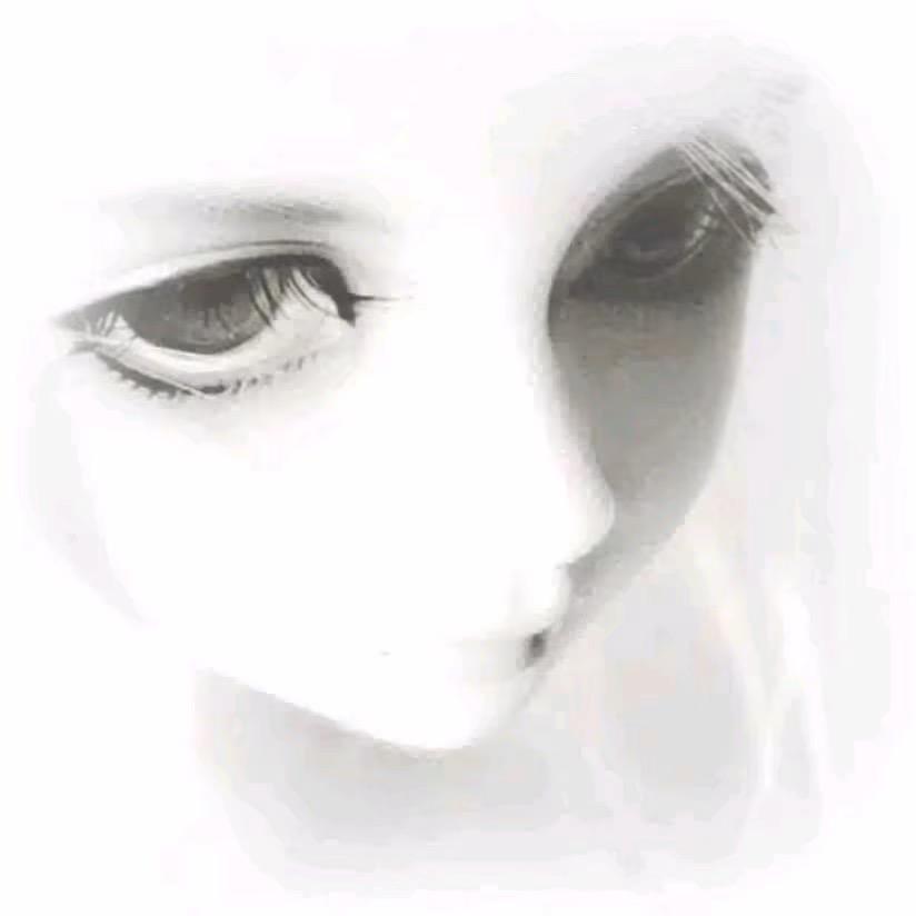 ㅤㅤㅤㅤㅤㅤㅤㅤ