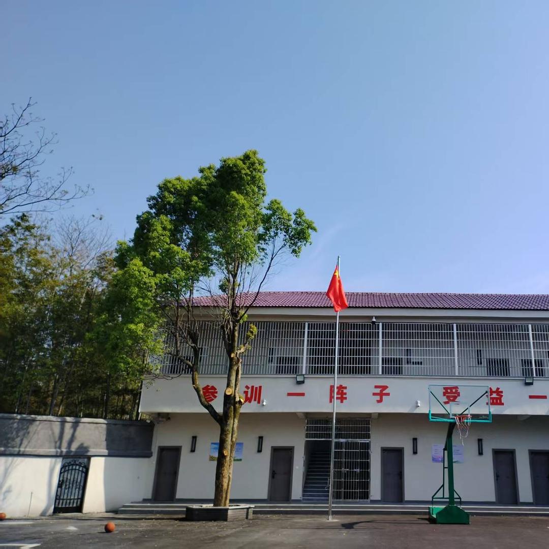 曾校长的特训日志