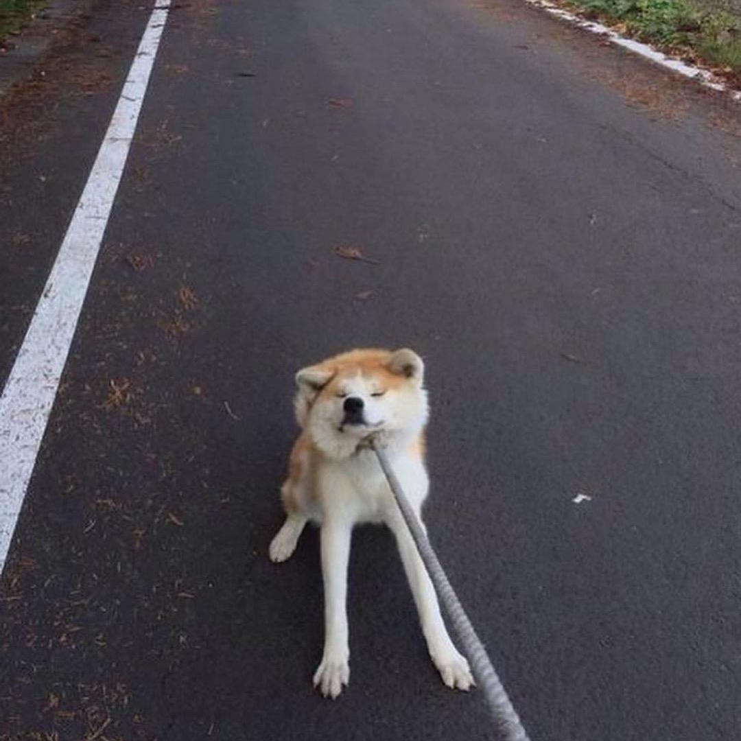 榻榻米米儿