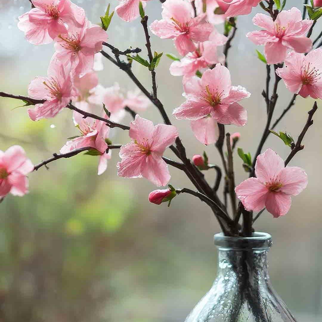 潇洒骏骏