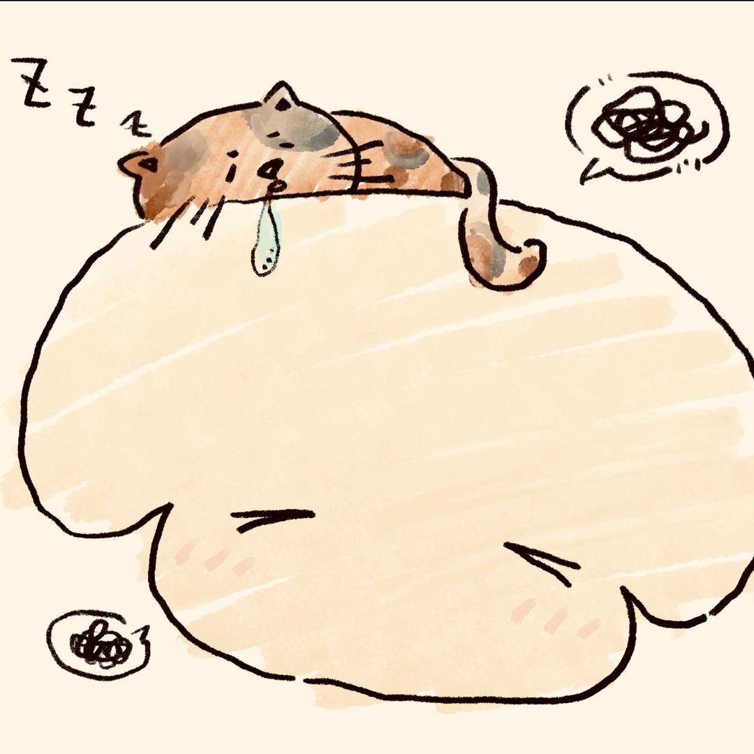 🐾