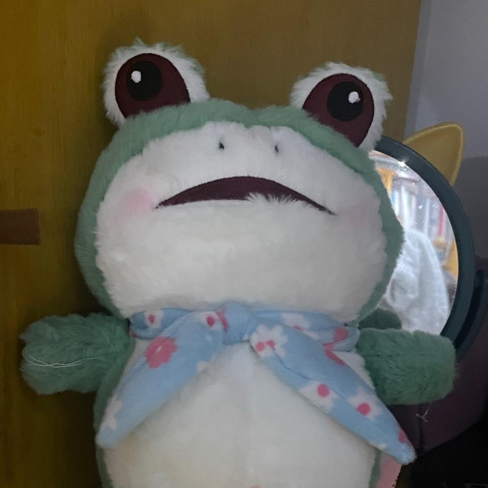 蛙蛙来咯