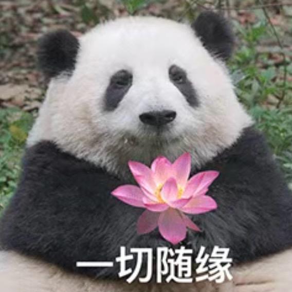 努力吃成球