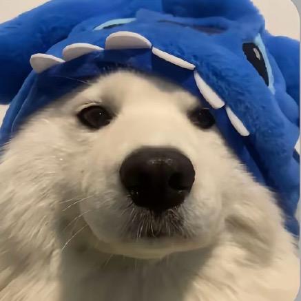 Ww