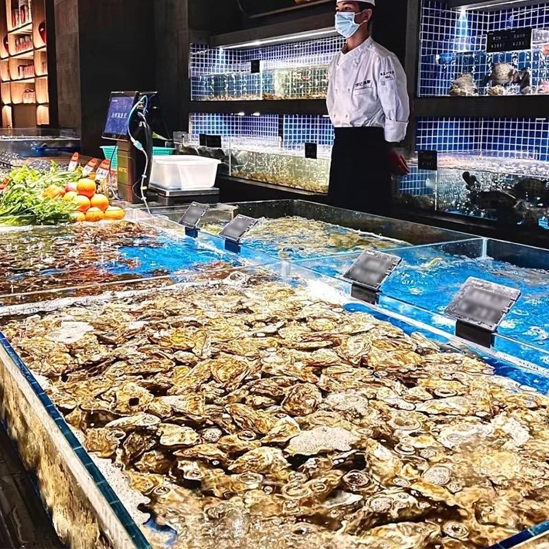 优益佳生蚝供应链