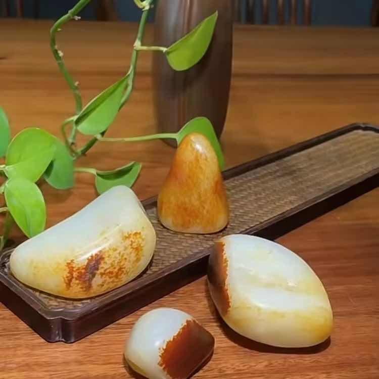 依依籽玉66