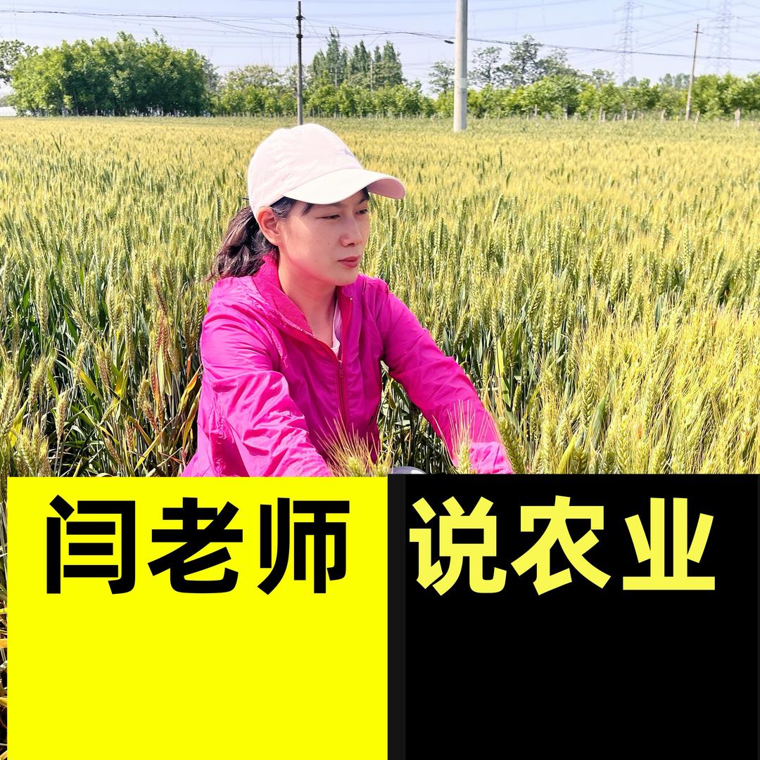 农技服务闫老师（孟州华丰）