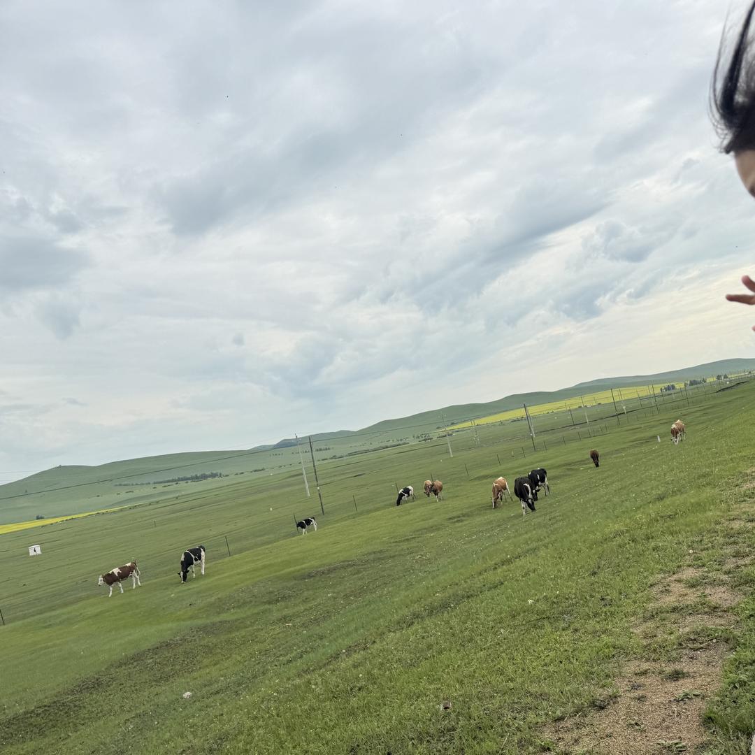 威海丽美贸易有限公司