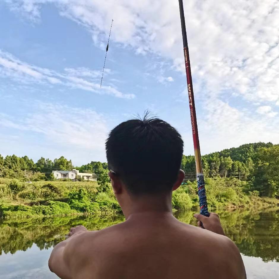 跑到户外的小猪