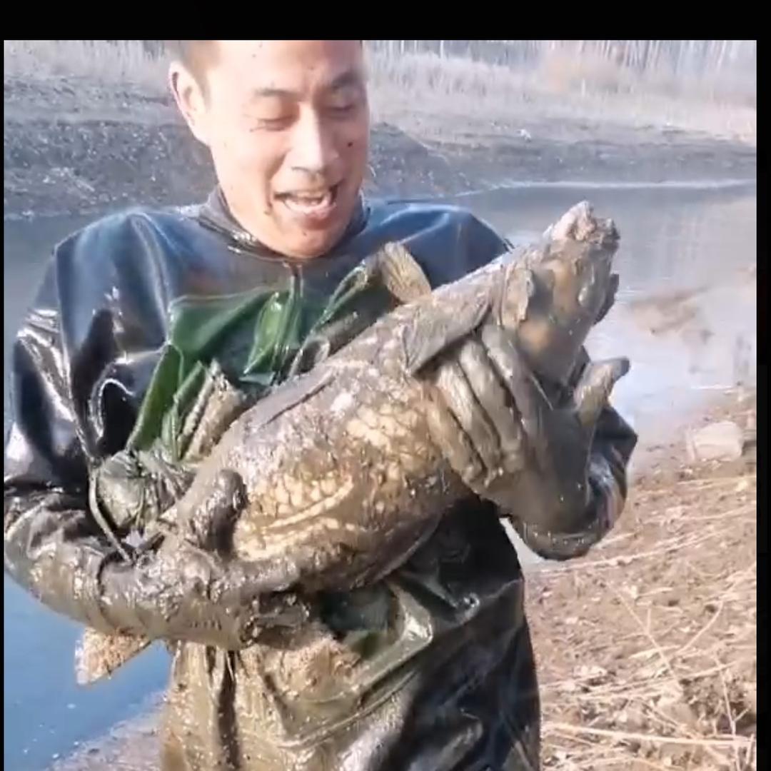 户外摸鱼小超