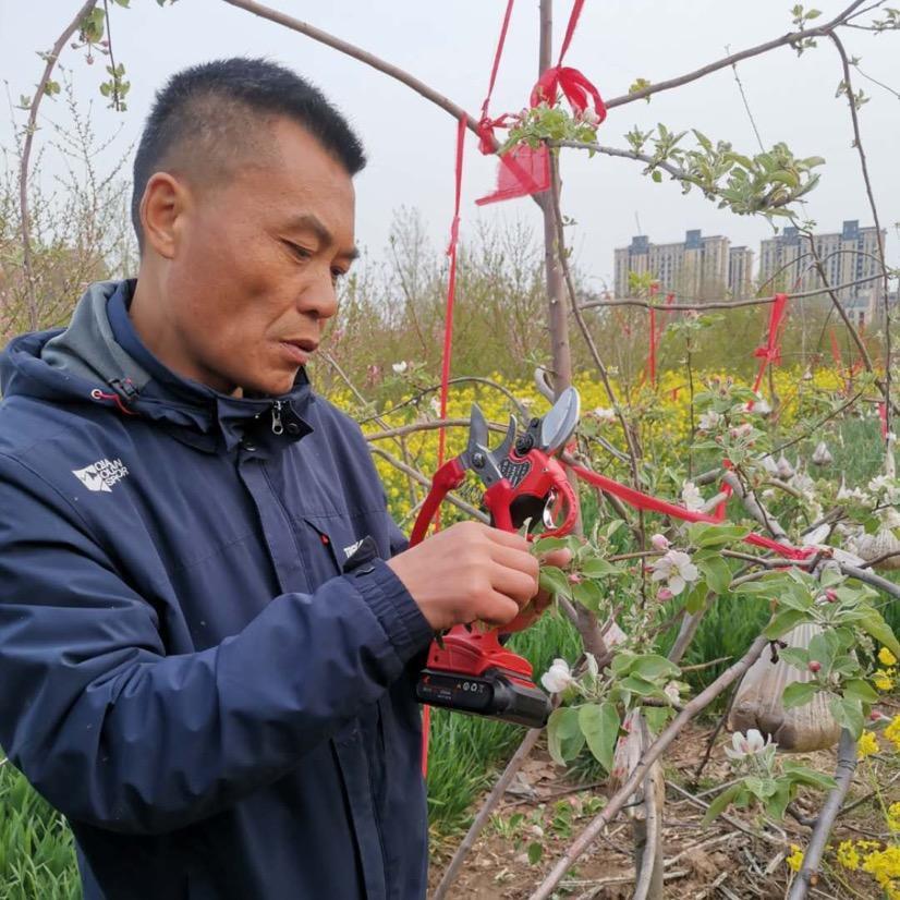 A唐老师果园系统化管理