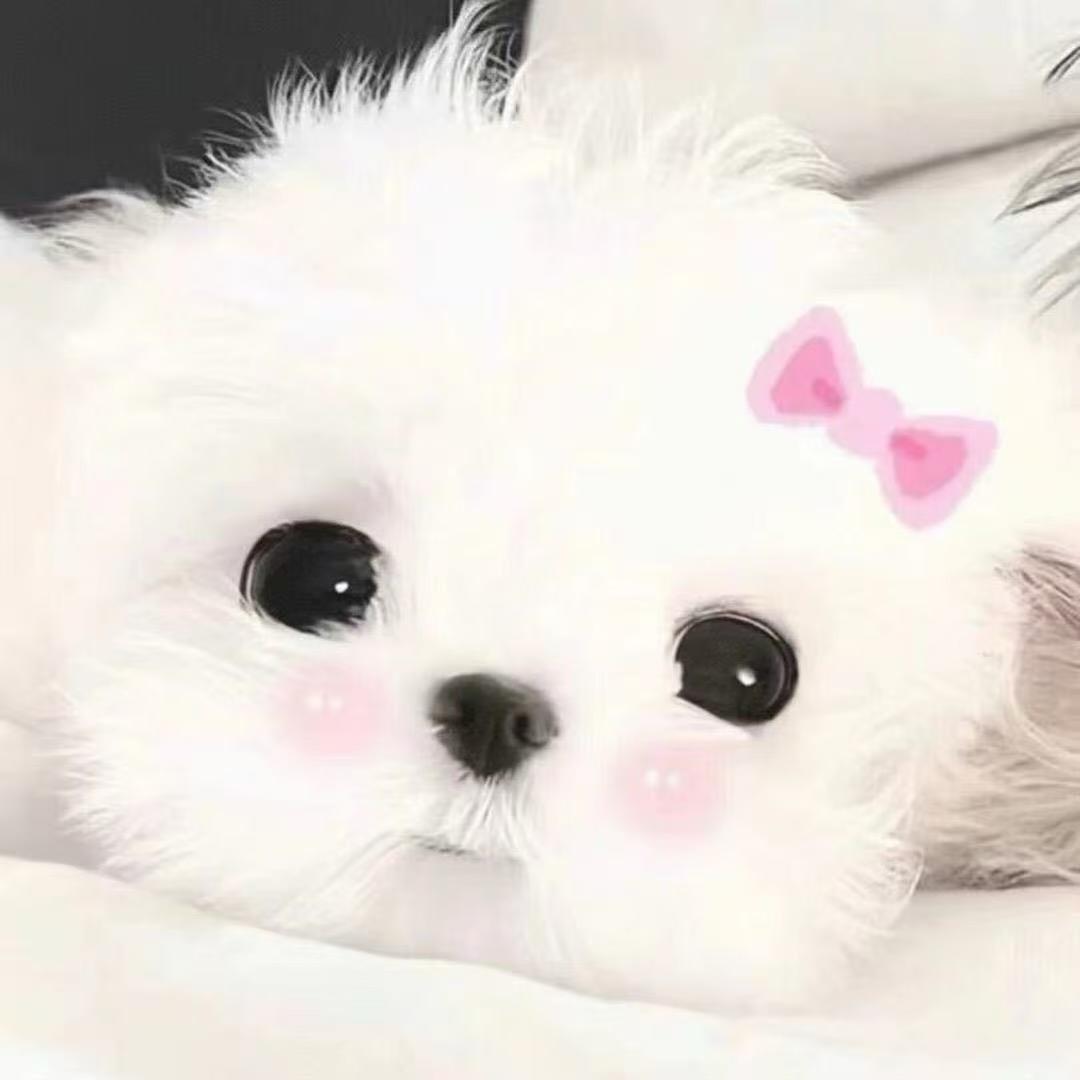 小琳酱ovo