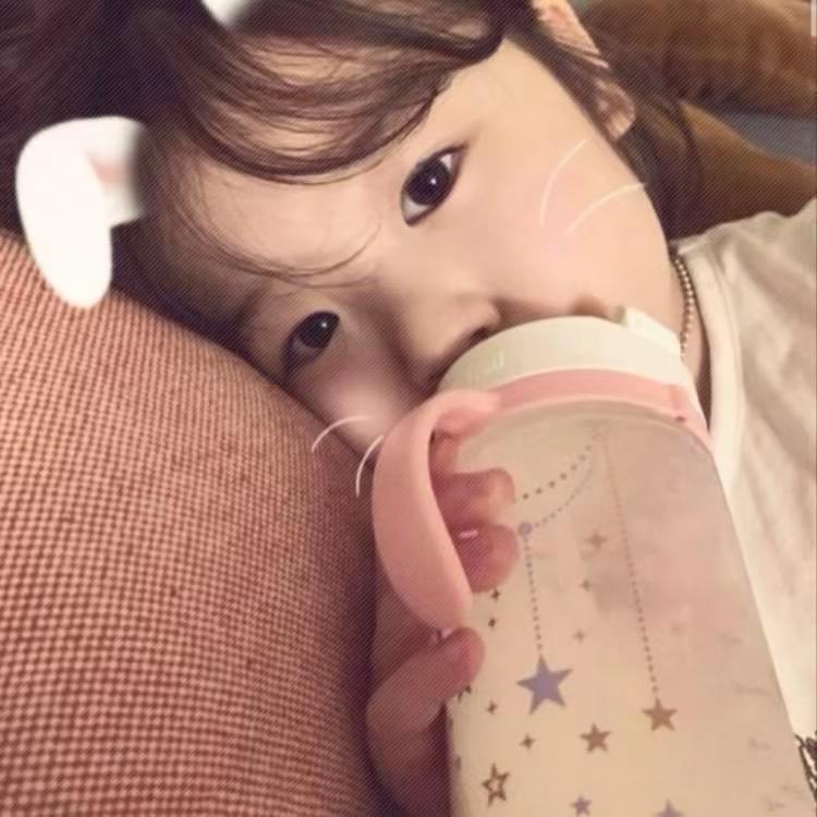 流浪小狗