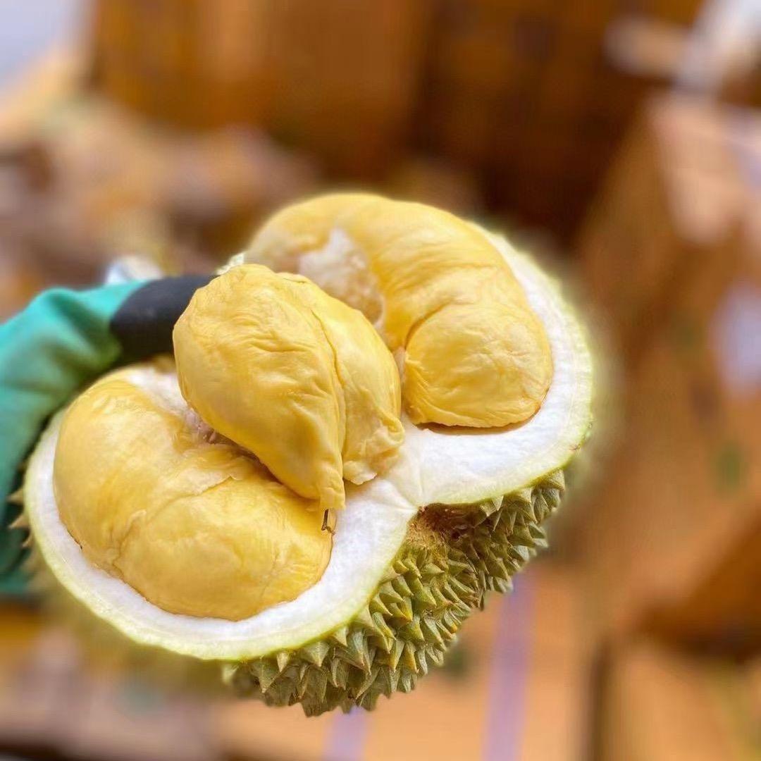 zhensimaoyi