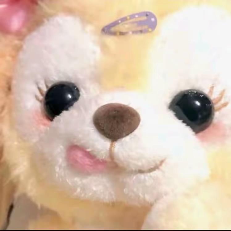该天晴了