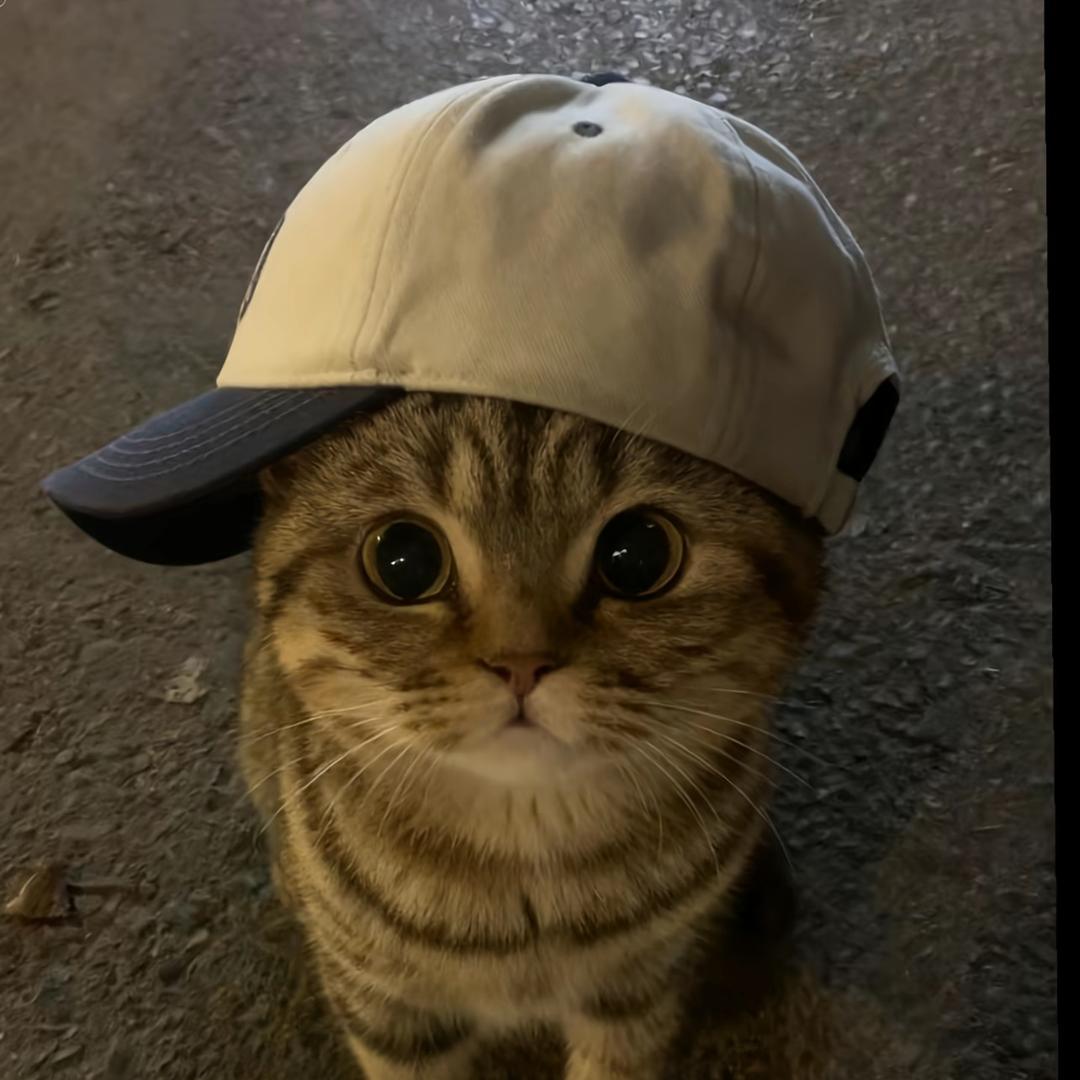 Tony不带水💦