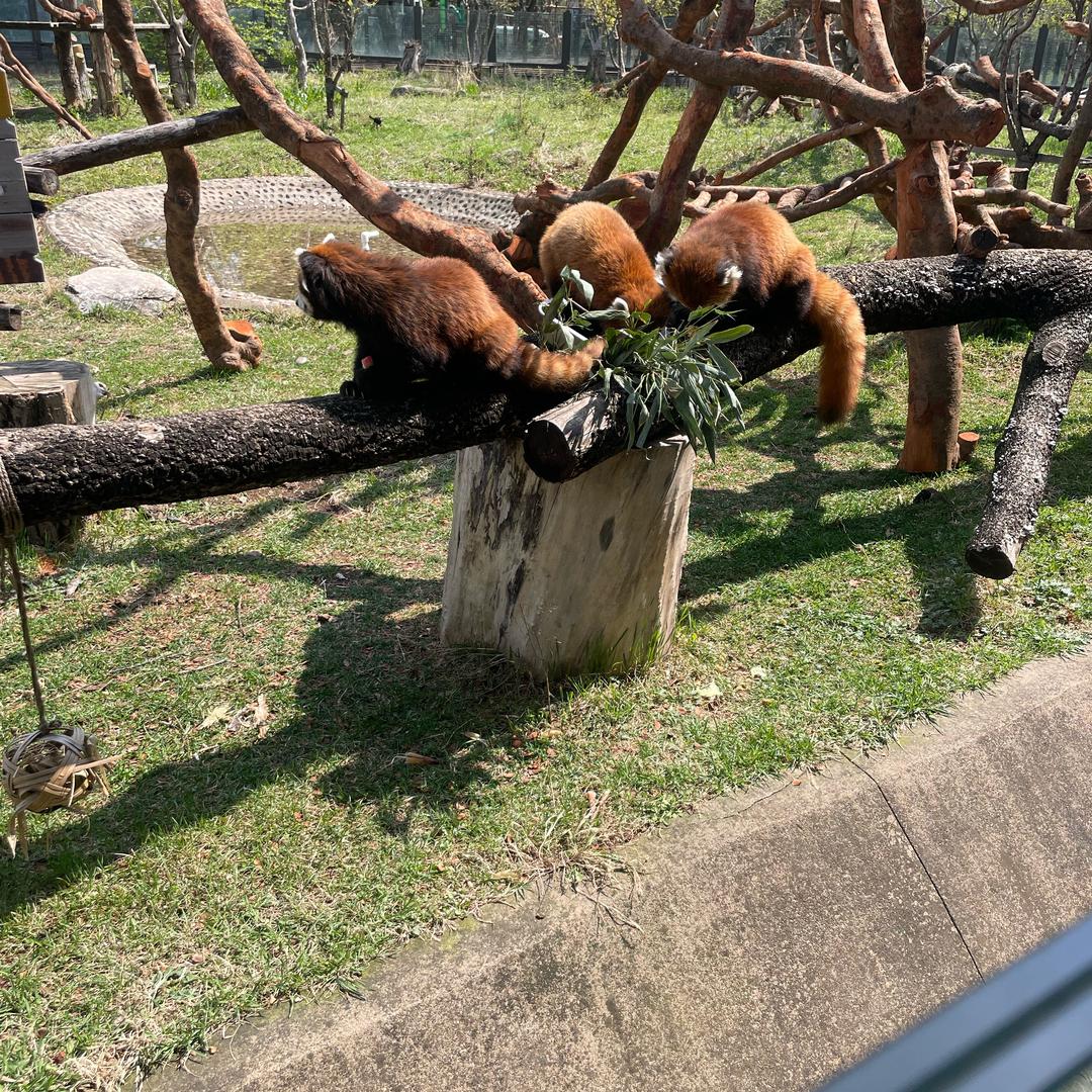 贝宠园优品集合店