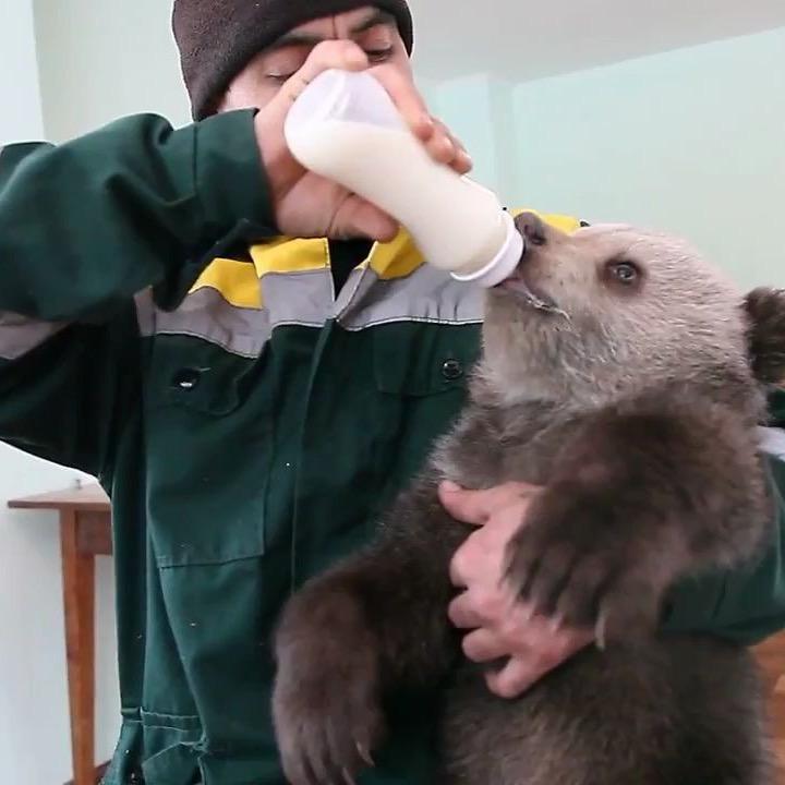 喂熊专业户🐻