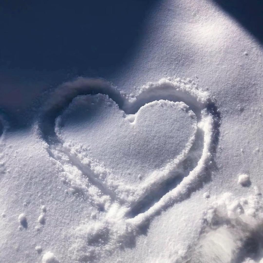一捧甜雪、