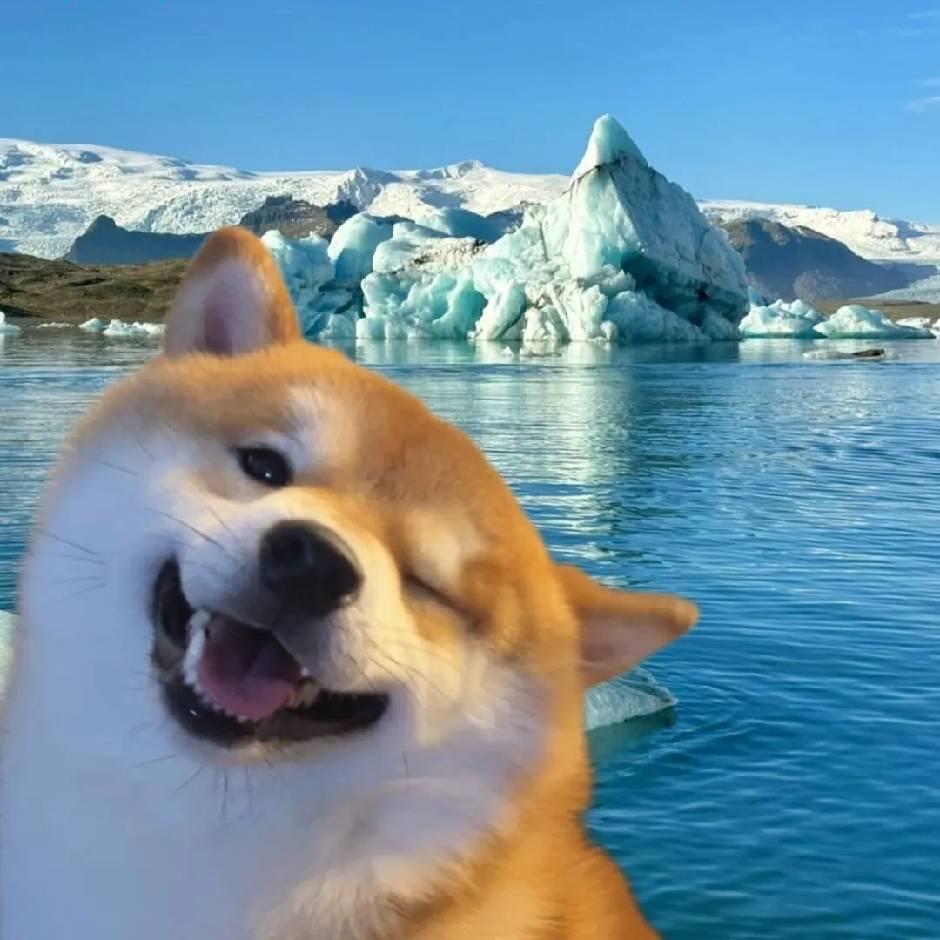 可樂-
