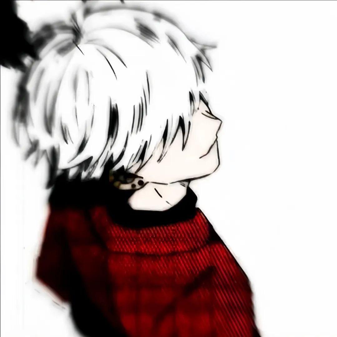 潇洒鸽