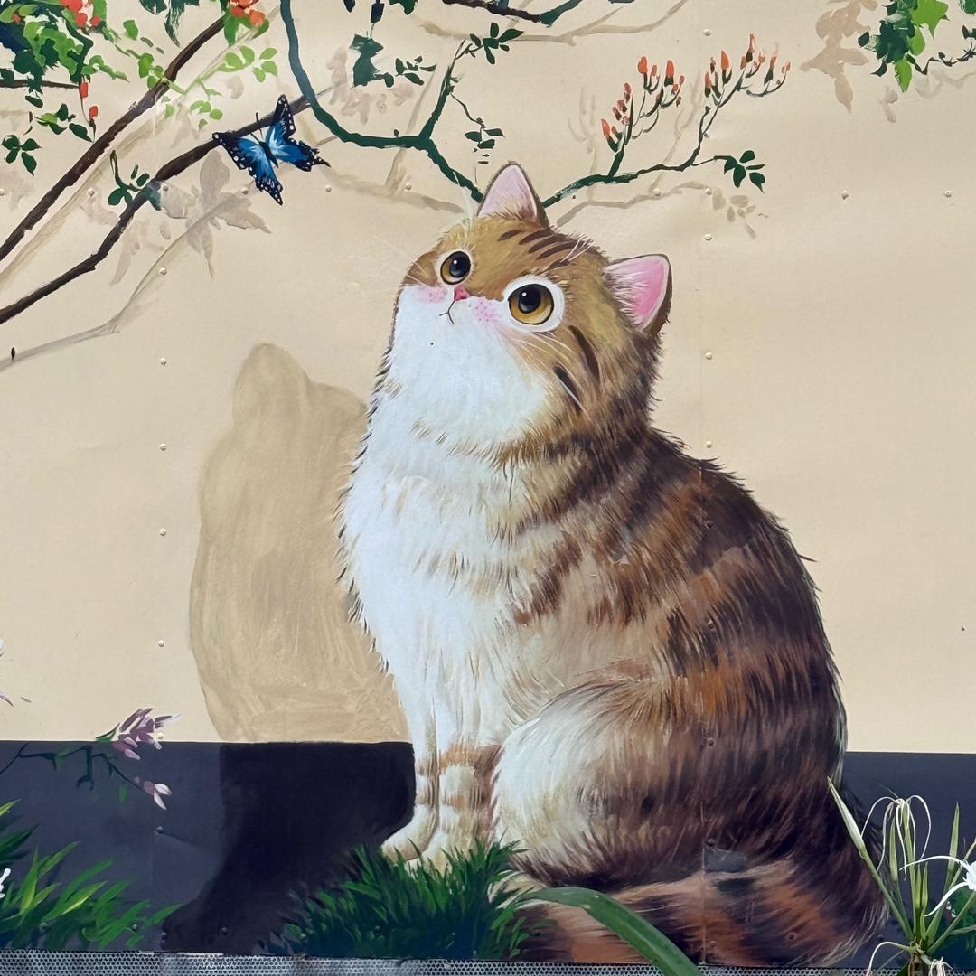 一只幸运小猫一动动幺