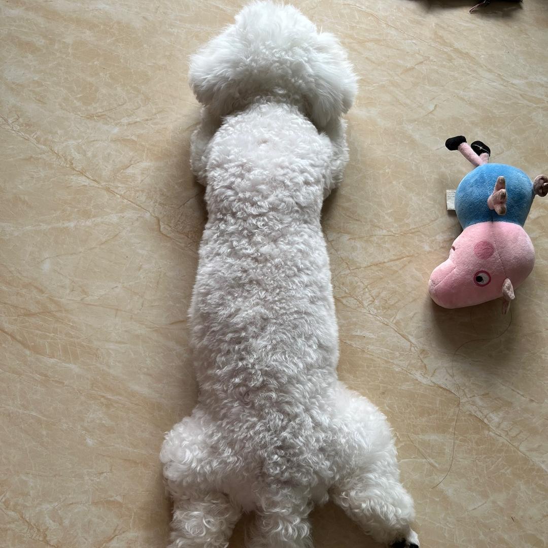 樱慧