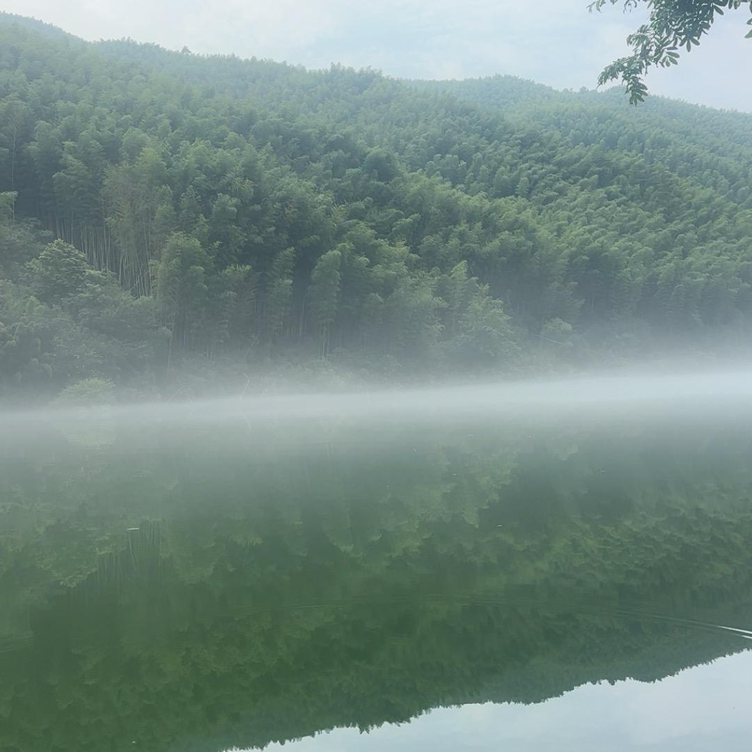 小心翼翼