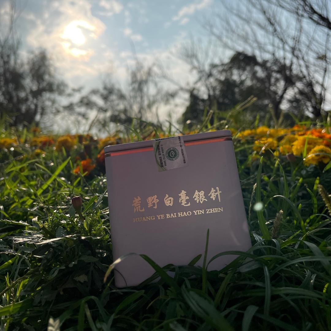 一壶好茶福鼎白茶