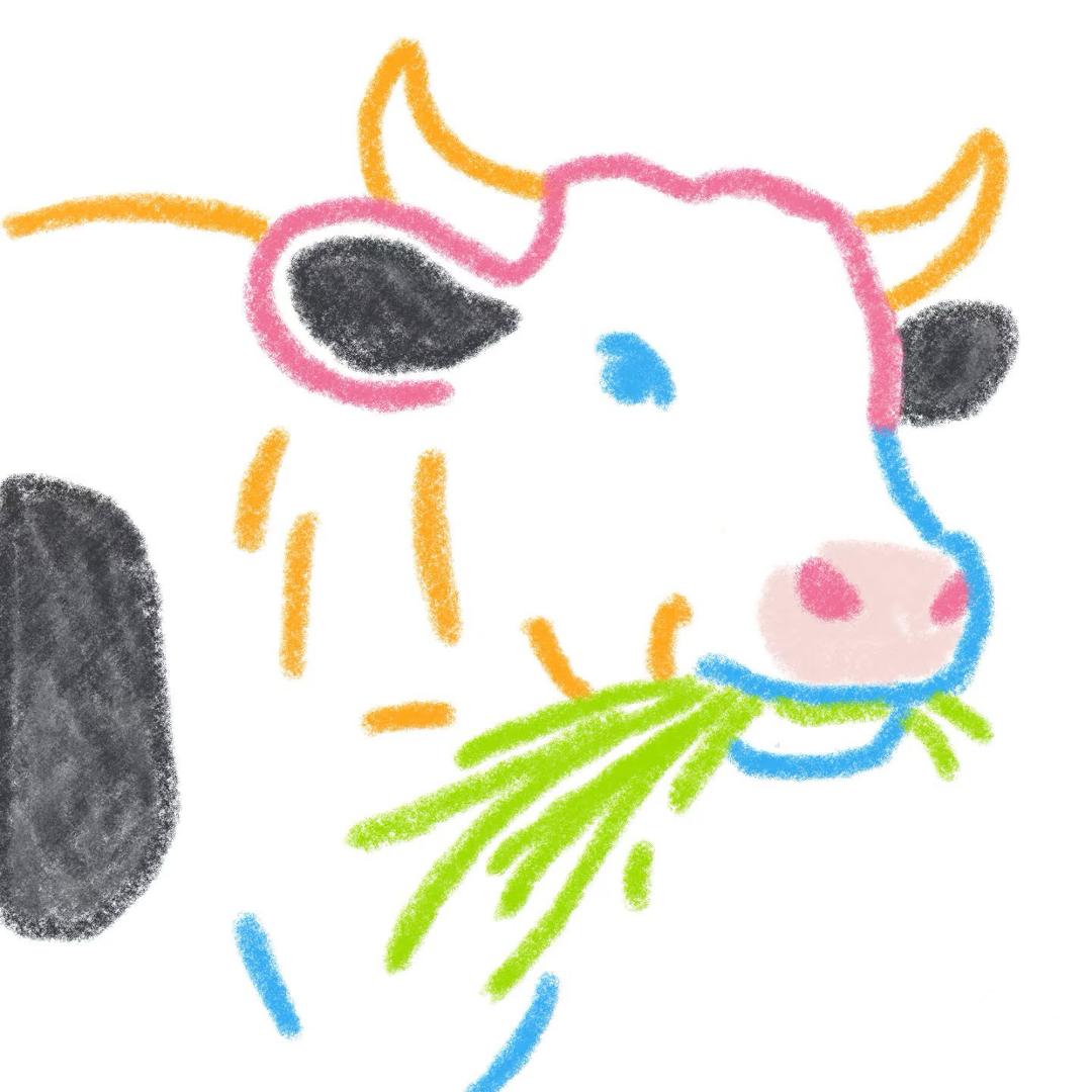牛牛🐮