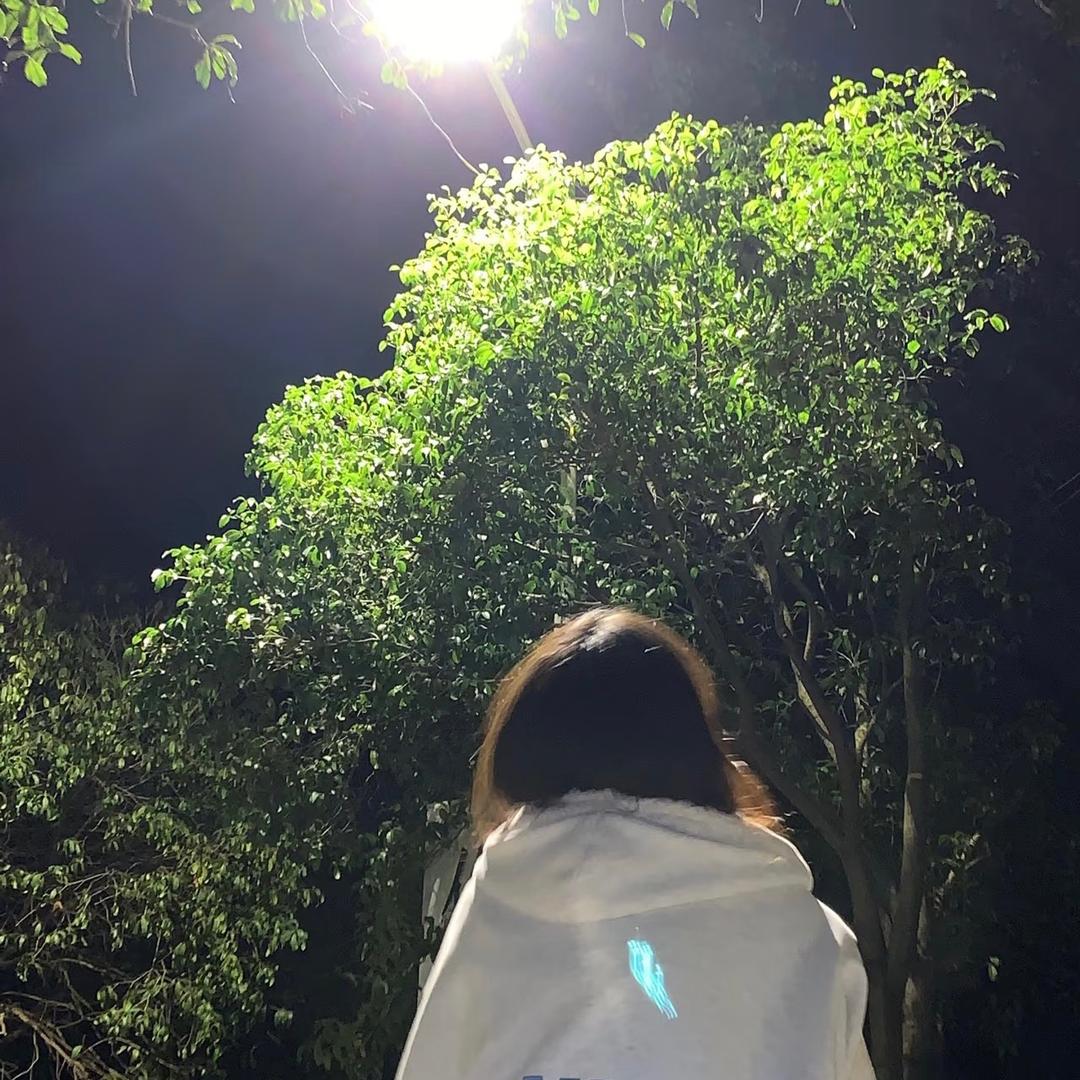 种一个月亮·