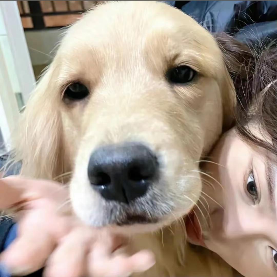 脸红.