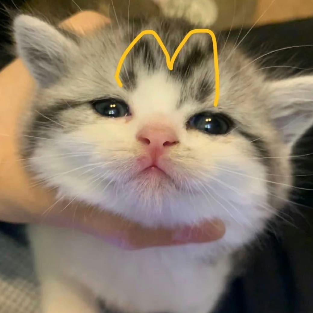 ocxiy