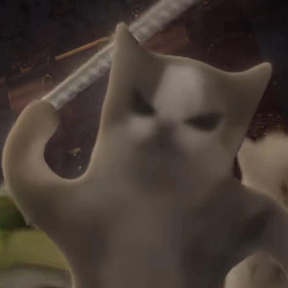 小猫妞妞