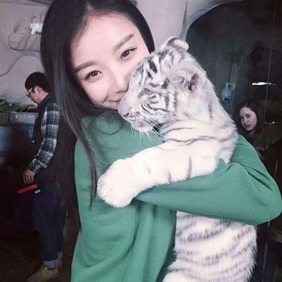 ㅤ︋ ︋ㅤ ︋︋ ㅤ︋ ︋ㅤ ︋︋ ︋