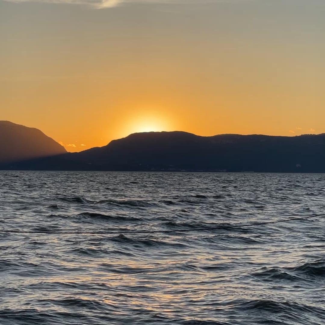 大木堂滋补养生专营店表妹山货