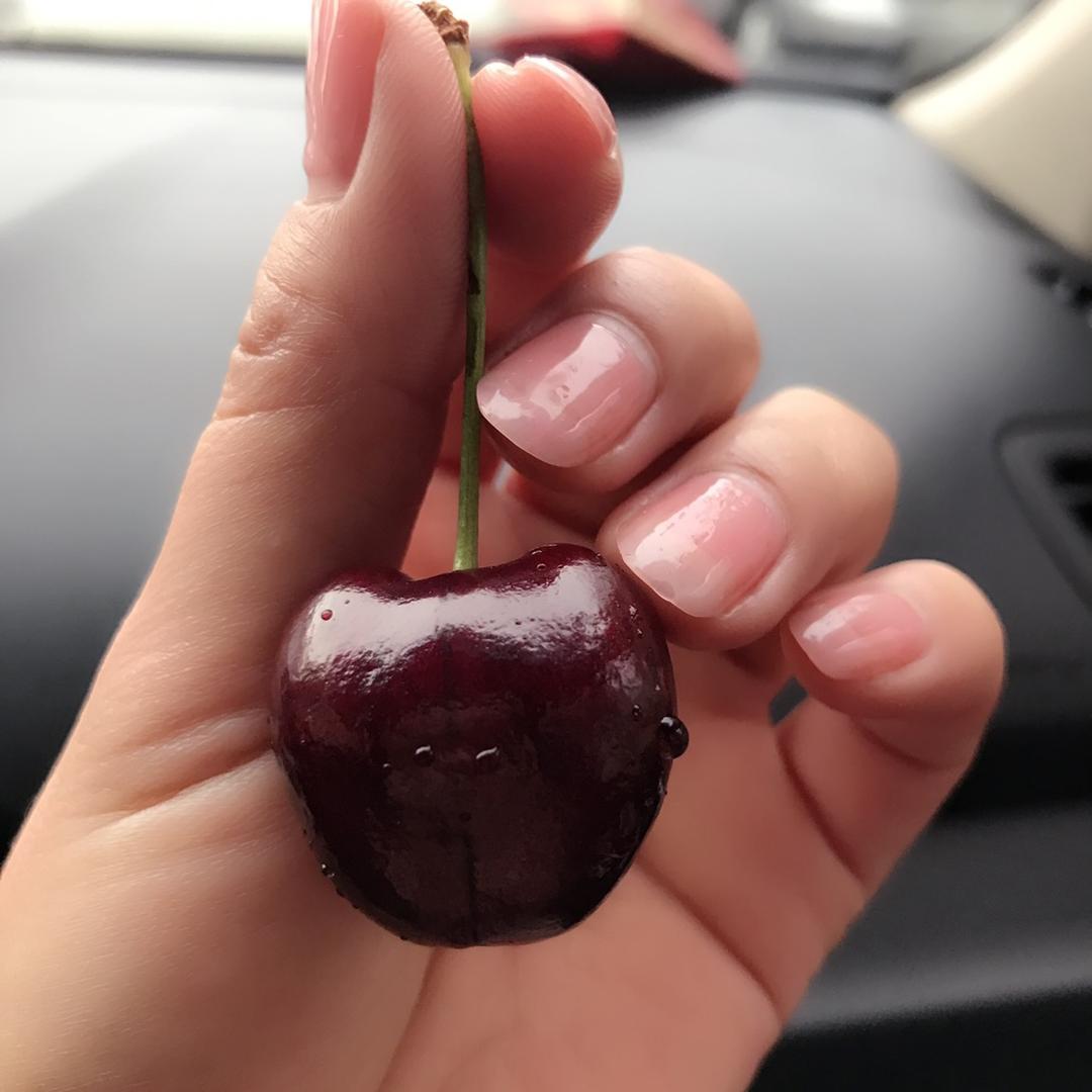 淡然如雅