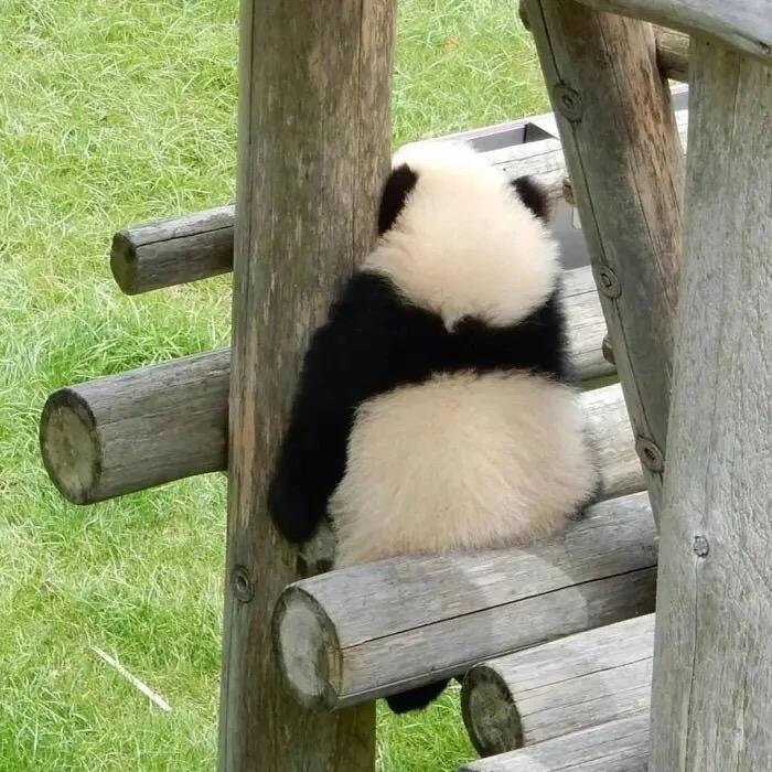 拿不动铁